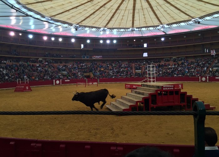 Misericordia Bullring Las Fiestas del Pilar | Erasmus blog UNIZAR photo