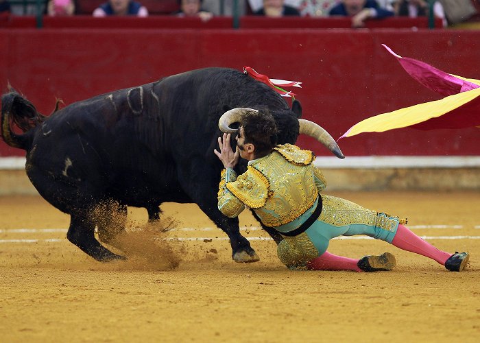 Misericordia Bullring One-eyed matador nick named 'The Pirate' is gored for the second ... photo