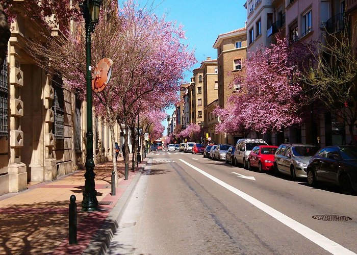 Calle San Vicente de Paul Calle de San Vicente de Paul, en Zaragoza. Una calle que une el ... photo