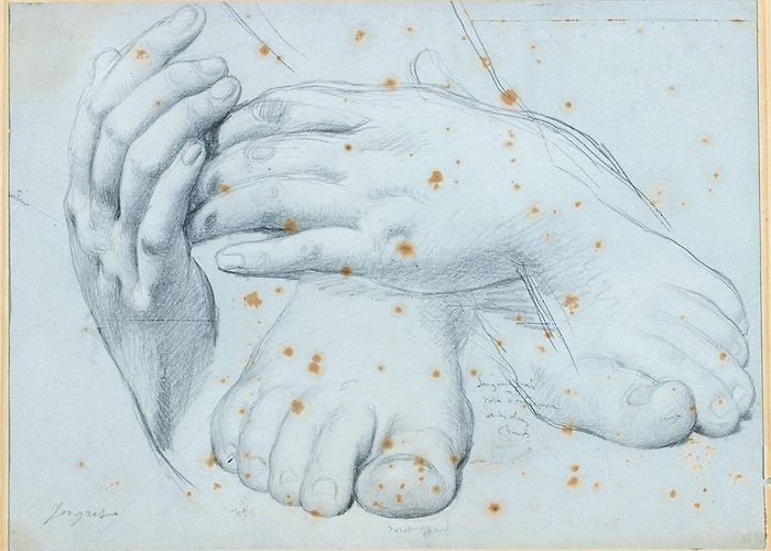 Musée Ingres Revamped, renamed, reopened: Musée Ingres Bourdelle honours ... photo