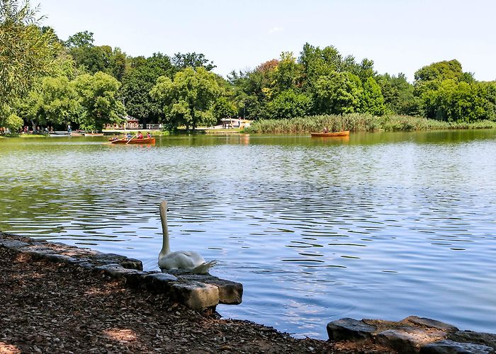 Jhb Zoo Lake Pitch In for Prospect Park's Lake Appreciation Month | Brownstoner photo