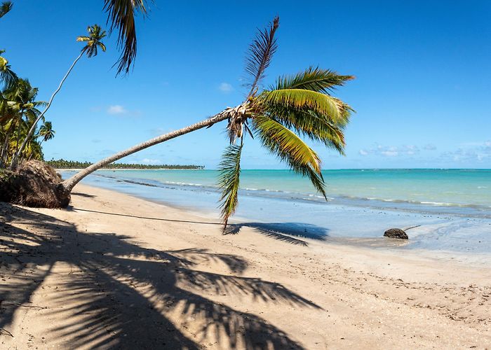 Toque Beach Lages Beach Tours - Book Now | Expedia photo