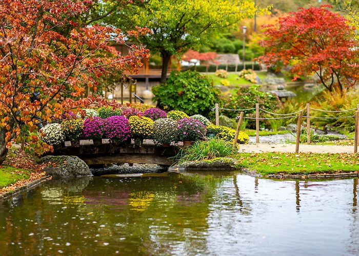 Flanders Nippon Golf Things to Do in Hasselt in 2024 | Expedia photo