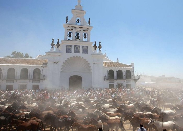 Donana National Park Parque Nacional de Donana Doñana National Park, Spain -- National Geographic photo