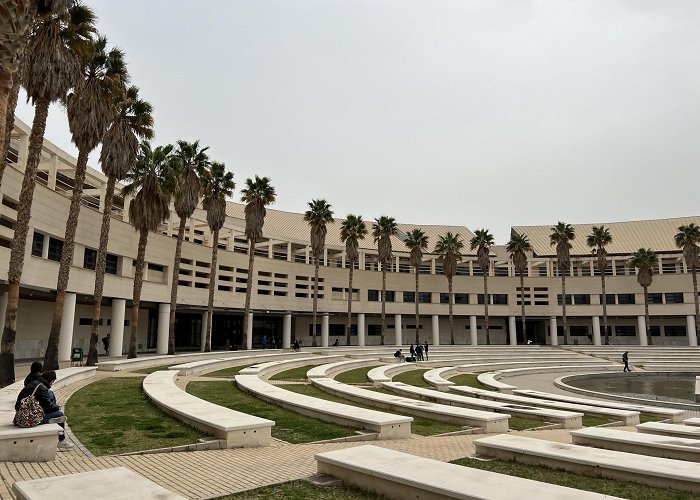 University of Alicante University of Alicante photo