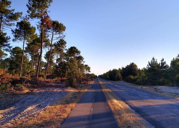 moulin de vensac Top 10 Bike Rides and Cycling Routes around Vendays-Montalivet ... photo