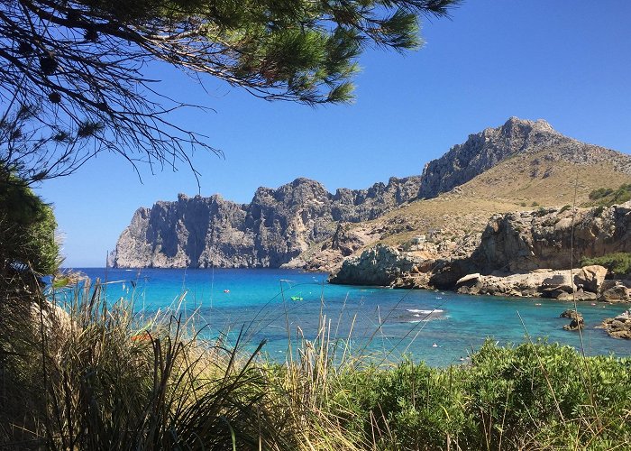 Cala Barques Cala Barques Tours - Book Now | Expedia photo