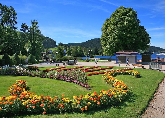 Tête de Grouvelin Gerardmer Ski Resort Tours - Book Now | Expedia photo