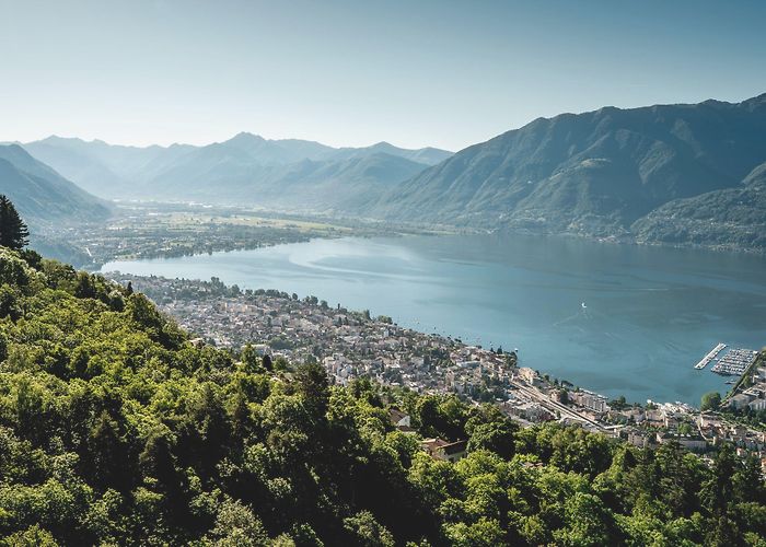 Camellia Park Locarno Locarno | Switzerland Tourism photo