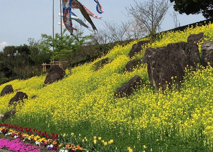 Fukuchi Sanroku Hana Park Nogata, Japan: All You Must Know Before You Go (2024) - Tripadvisor photo