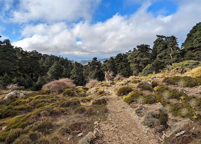 Parque Natural Sierra de las Nieves Sierra Prieta – circular entre Casarabonela y Alozaina | mountain ... photo