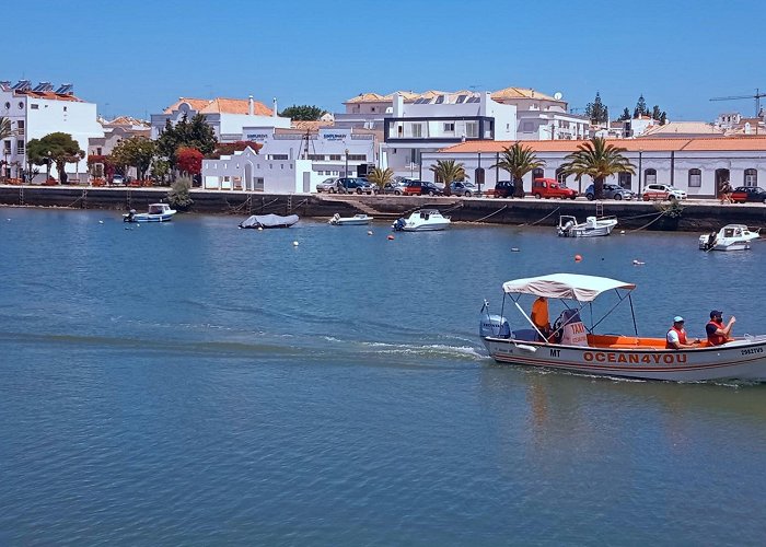 Tavira photo