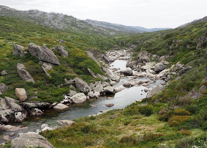 Perisher Valley photo