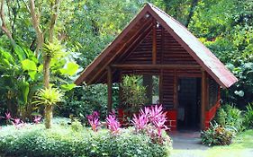 Arenal Oasis Eco Lodge & Wildlife Refuge La Fortuna Exterior photo