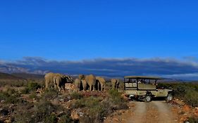 Sanbona Wildlife Reserve แบร์รีเดล Exterior photo