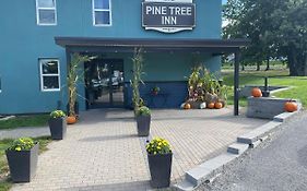 Pine Tree Inn บังกอร์ Exterior photo