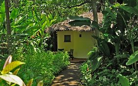 Moivaro Coffee Plantation Lodge อารูชา Exterior photo