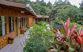 El Bosque Trails & Eco-Lodge Monteverde Exterior photo