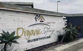 Organic Stay Guesthouse ซวาคอปมุนด์ Exterior photo