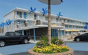 Blue Palms Resort ไวลด์วูด Exterior photo