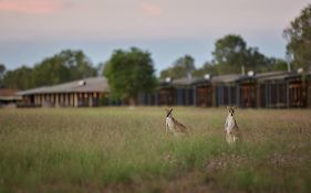 Wildman Wilderness Lodge ดาร์วิน Exterior photo