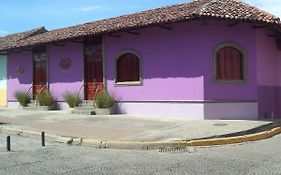 Hotel La Calzada กรานาดา Exterior photo