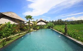 Padi Bali Retreat Hotel ปายางัน Exterior photo