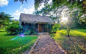 Bocawina Rainforest Resort ฮอปกินส์ Exterior photo