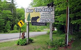 Bear Tree Lodge แวร์สบีช Exterior photo
