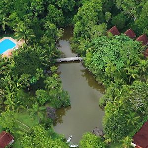 Pousada Salve Floresta Hotel ตาปิไร Exterior photo