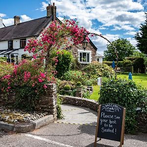 The Greyhound Inn And Hotel อัสค์ Exterior photo