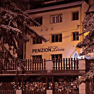 Penzionlivia,Tr.Teplice Hotel เตรนชิอาสกี เตปลิตเซ Exterior photo