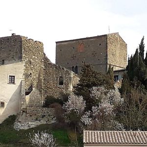 Chateau De Pieusse Bed & Breakfast Exterior photo