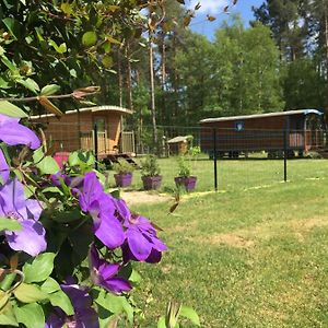 Roulottes Du Chalet Des Pins Bed & Breakfast Rougeou Exterior photo