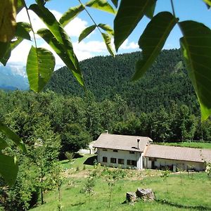 Bosco Delle Rune ..Un Angolo Di Paradiso Bed & Breakfast Platischis Exterior photo