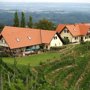 Weingut Albert, Familie Cramer Bed & Breakfast คิทเซค อิม เซาซาล Exterior photo