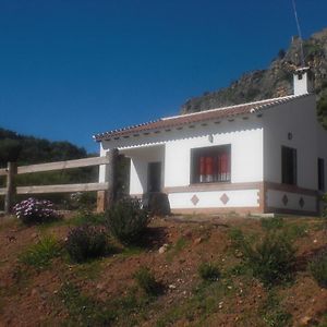 La Solana De Turon. La Coscoja. Villa อาร์ดาเลส Exterior photo