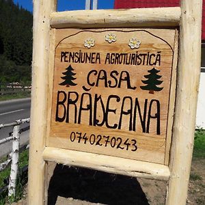 Pensiunea Agroturistica Casa Bradeana อัลบัค Exterior photo