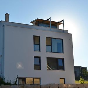 Designerhaus Mit Dachterrasse Villa Nittendorf Exterior photo