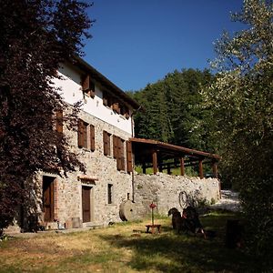 Mulino Vecchio Villa Minucciano Exterior photo
