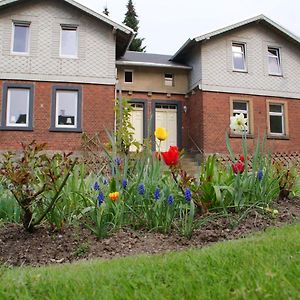 Holiday Home Near Ski Area Rechenberg-Bienenmuhle Exterior photo