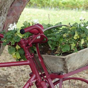 L'Alambic De L'Estuaire Bed & Breakfast Saint-Fort-sur-Gironde Exterior photo