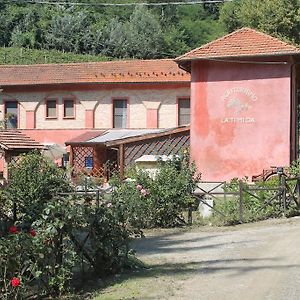 Agriturismo La.Ti.Mi.Da. Villa Cassine Exterior photo