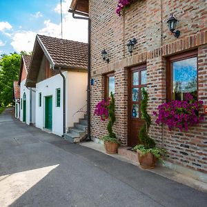 Podrumi Kolar "Suza Baranje" Guest House Knezevi Vinogradi Exterior photo