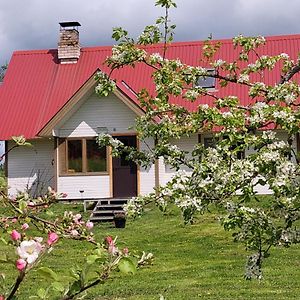 Mesikamaee Saunamaja Villa โปลวา Exterior photo