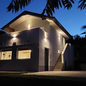 Grajsko Villa เมทลิกา Exterior photo