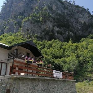 Apartmani Tara I Zabojsko Dobrilovina โมจโคแวก Exterior photo