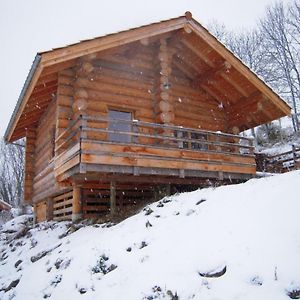 Chalet Bois Chaleureux Avec Terrasse, Internet Et Animaux Acceptes - Fr-1-496-187 Villa Saint-Martin-la-Sauvete Exterior photo