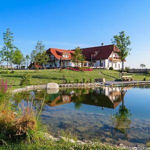 Hoamat Hotel Haibach ob der Donau Exterior photo