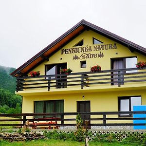 Pensiunea Natura Sadu ซีบิว Exterior photo